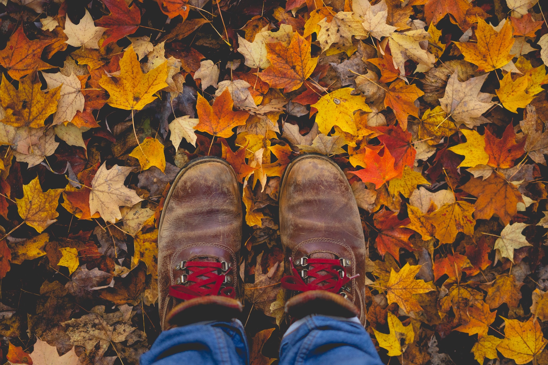 Uitnodiging Herfstwandeling 16 oktober 2022